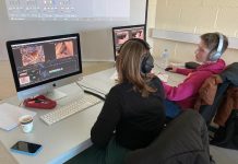 La mini en 40 secondes