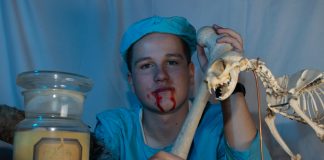 Halloween – House system