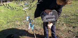 L’Erasmus à Coria (Espagne)