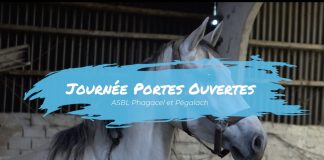 Phagacel et Pégalach